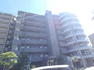 ハオスローレライの画像