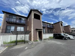 テンプスメイソンの画像