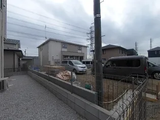 マリーゴールドの画像