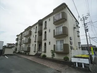 キーミハイツAの画像