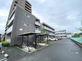 チェリスの画像