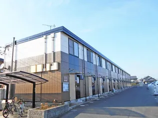 高木の外観