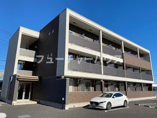 シャロルMの画像