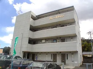 グレースラインの画像