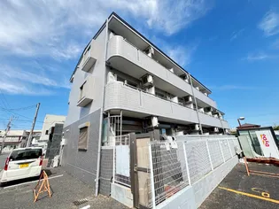 グレイスさつきの画像