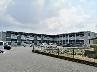 レオネクストディアスの画像