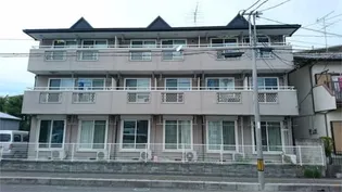 キャネックスの画像