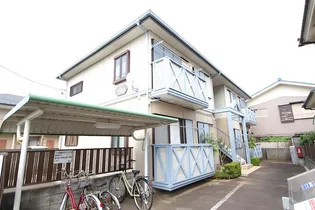 MAST カモミールの画像