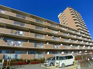 ROYAL RAISINの画像