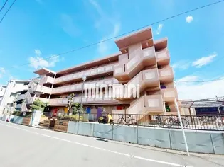 はいつ寺島の画像