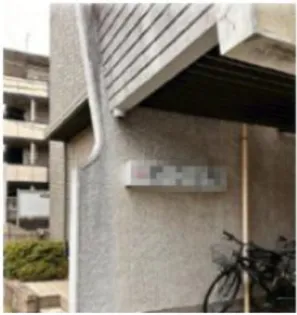 メロンむさし野の画像