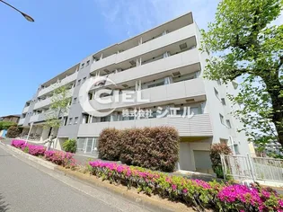 BEVERLY HOMES 下赤塚の画像