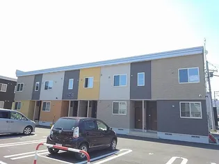 プラシードKVの画像