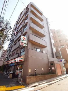 エヴァーグリーンの画像