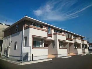 カミーノの画像