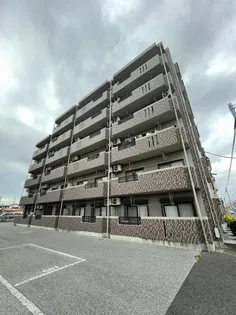 Y&M TAKAHASHI Iの画像