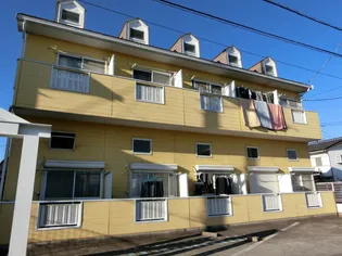 ピオーネ竜王の画像