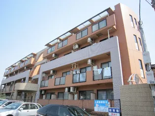 クリア パーシモンの画像