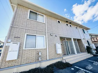 スノー フレークの画像