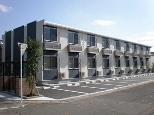 レオネクスト藤Bの画像