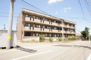 新潟県新潟市西区五十嵐2の町【アパート】の外観