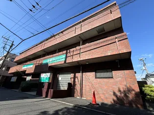 ラテルドムスの画像