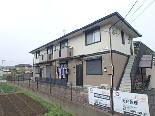 ハックベリーIIの画像