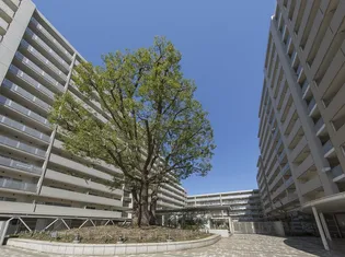 シティコート目黒3号棟【5階】の外観