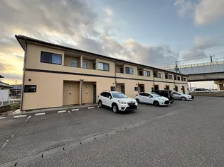 サンベリーの画像