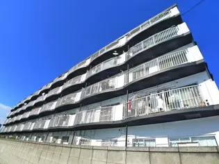 セントエルモ武蔵浦和の画像