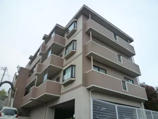 セルブランSの画像