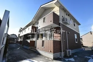 プリート ビオラの画像