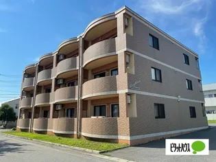 エクセレンス若木の画像