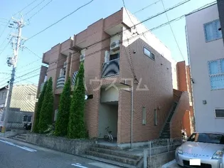フリージアの画像