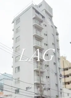 ひばりマンション【10階】の外観