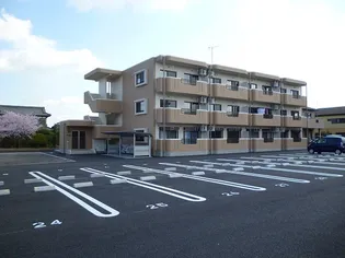 ミリオンドリームの画像
