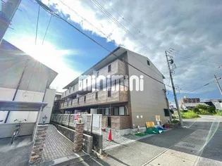 サンライズIIの画像