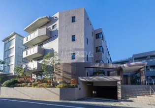 ウィルT Y上馬の画像