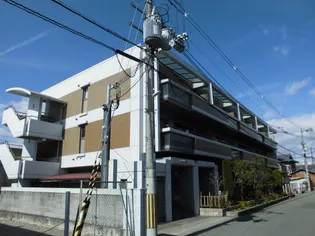 ヴィヴァーチェ【3階】の外観