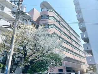 チェリーコート岡野【3階】の外観