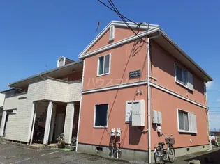 ホワイトペルテCの画像