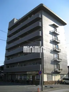 プレジデントモリスの画像