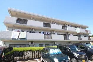 プロビデンス日比野の画像