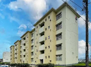 舞松原100棟の画像