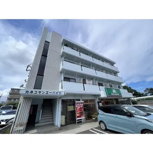 カネコサンエーハイツの画像