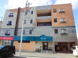 エレンシア Nの画像