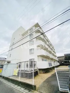 ホープス勝瑞の画像