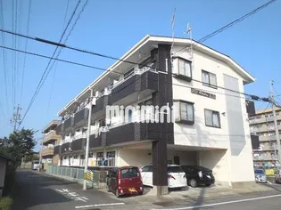 チェルシーの画像