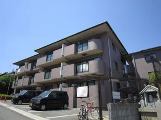 ミレニアム加納の画像