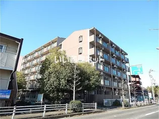 APEX FLAT Rの画像